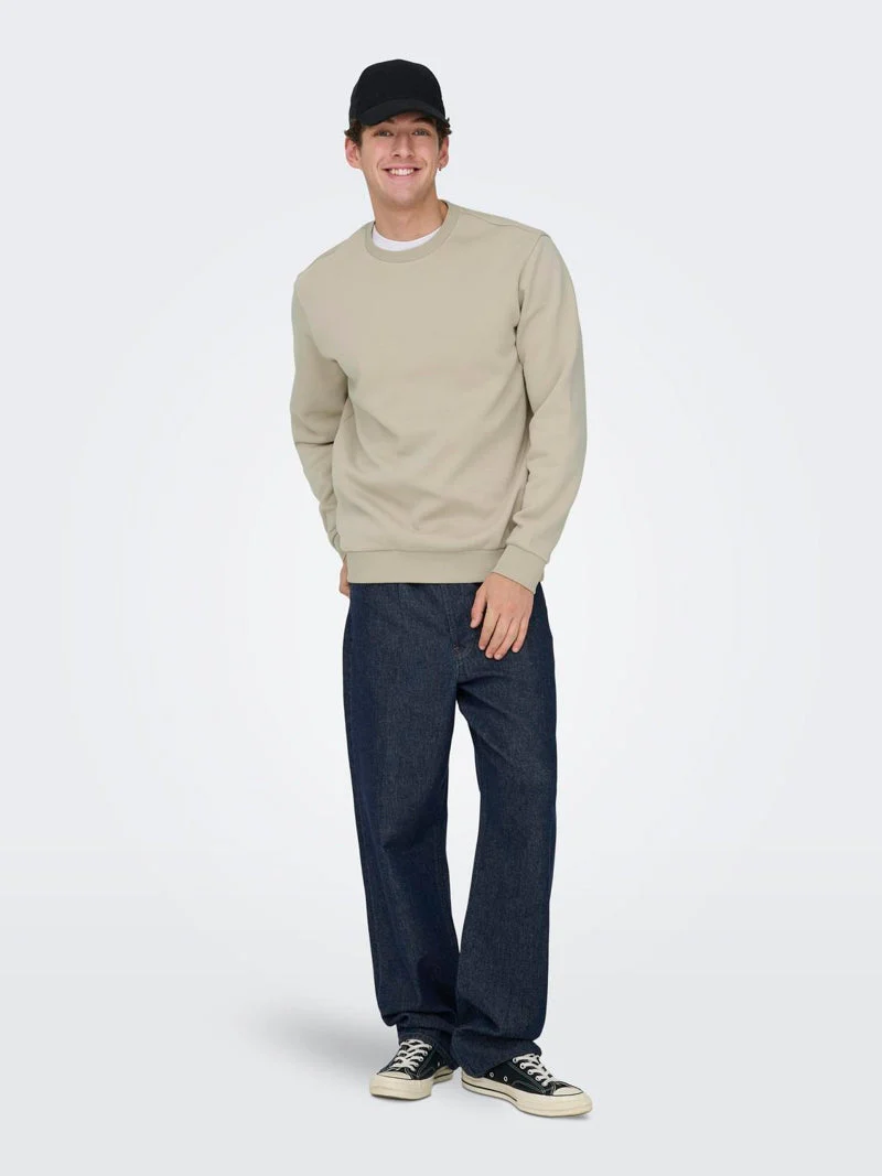 ONLY & SONS Ceres Crew Neck Sweat Silver Lining - Image 6
