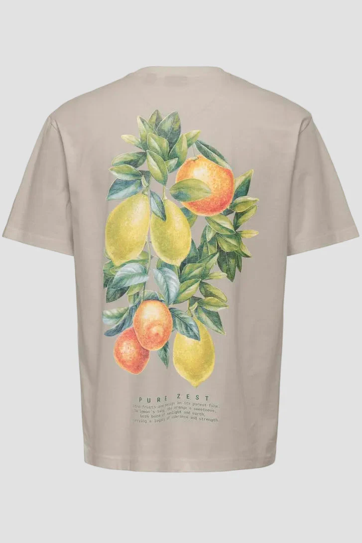 Only & Sons Fred Life Relaxed Fit SS Print Tee Silver Lining - Image 5