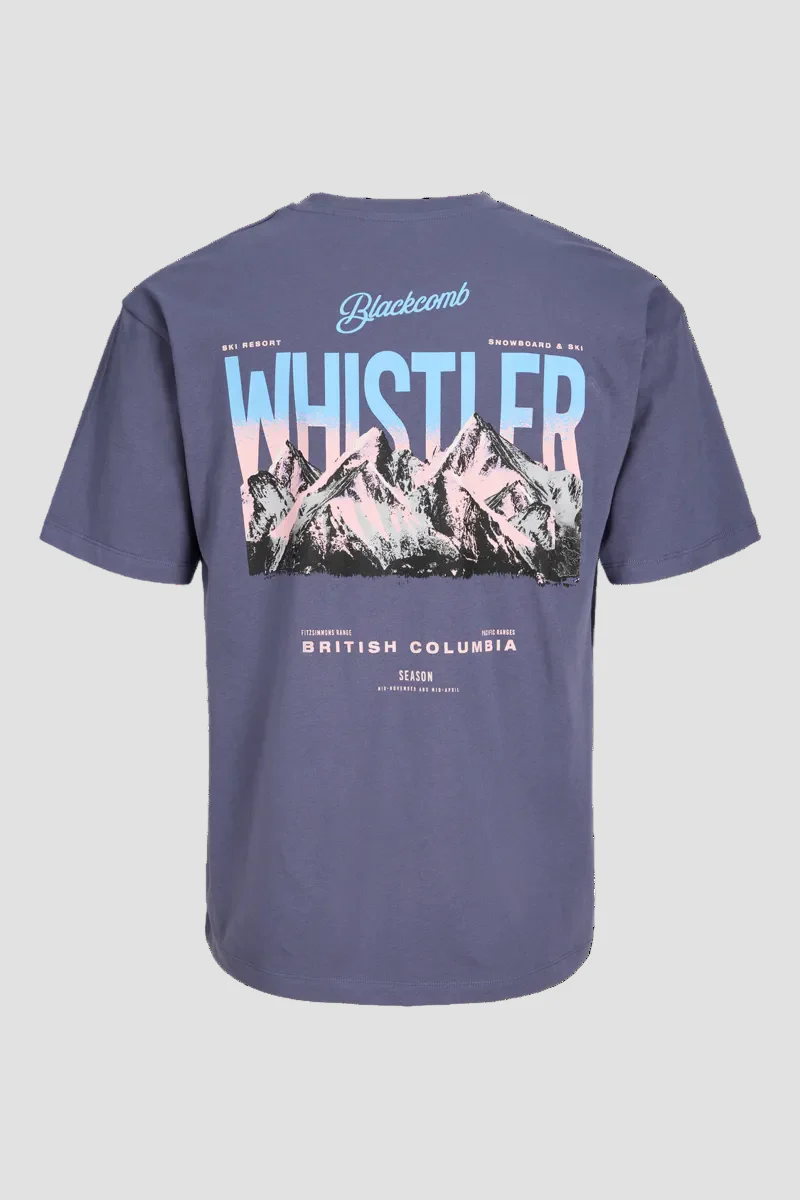 Jack & Jones Whistler Tee Ss Nightshadow Blue - Image 2